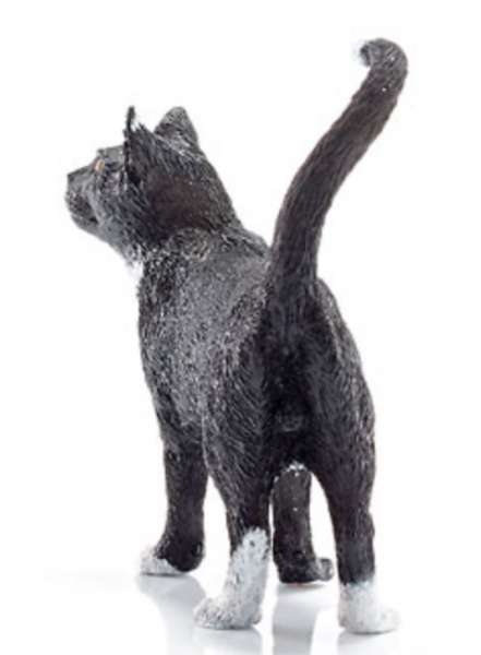 KATZE SCHWARZ - STEHEND